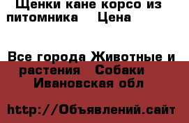 Щенки кане корсо из  питомника! › Цена ­ 65 000 - Все города Животные и растения » Собаки   . Ивановская обл.